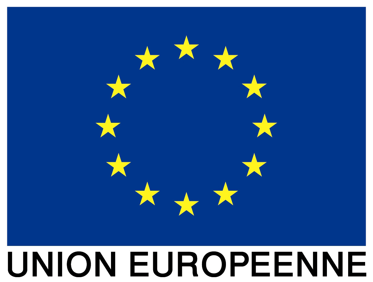 Logo du drapeau de union Européenne